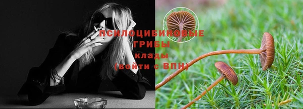 COCAINE Богородицк