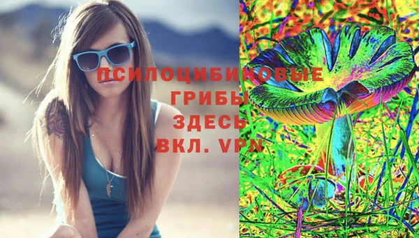 синтетический гашиш Богородск