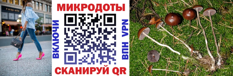 Псилоцибиновые грибы мухоморы  Купить где  Людиново 